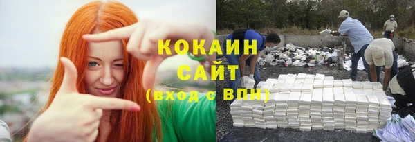 спиды Новодвинск