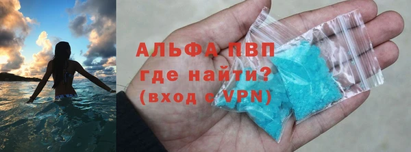 спиды Новодвинск