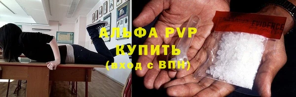 спиды Новодвинск