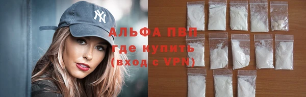 спиды Новодвинск