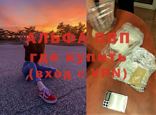 спиды Новодвинск