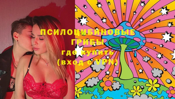 мдма Новозыбков