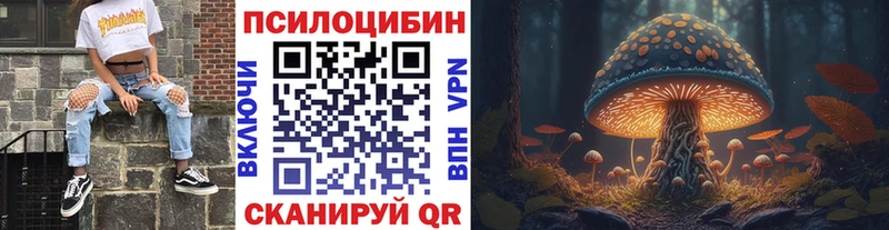 Псилоцибиновые грибы GOLDEN TEACHER как найти закладки Качканар