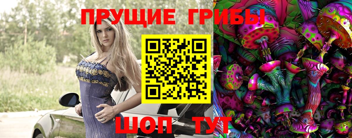 Качканар  Галлюциногенные грибы прущие грибы  Вход с VPN 