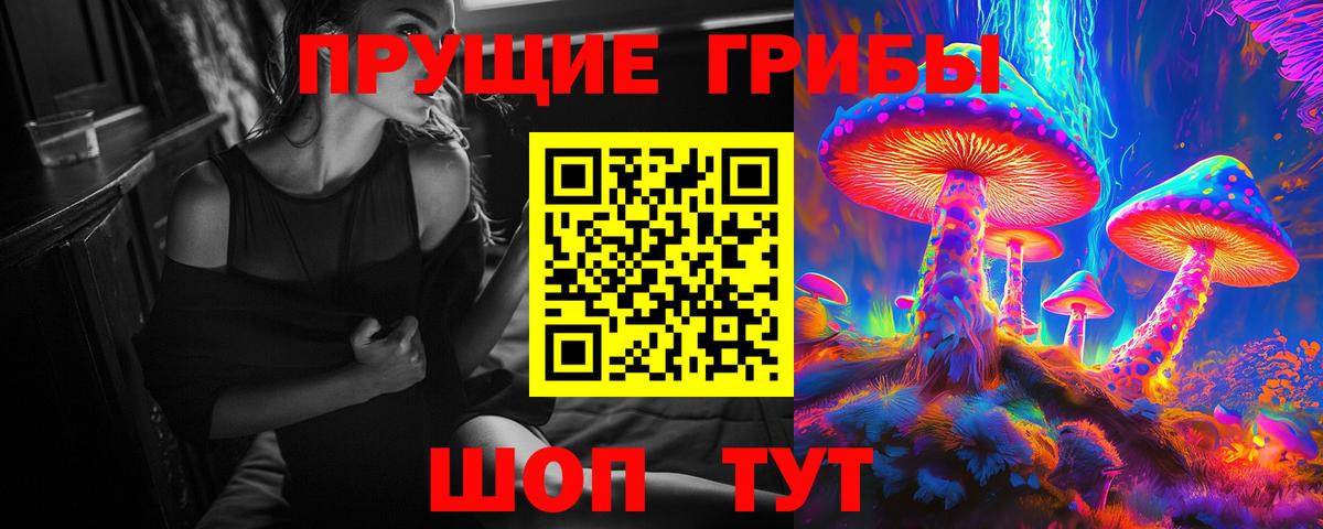 Псилоцибиновые грибы MAGIC MUSHROOMS Качканар